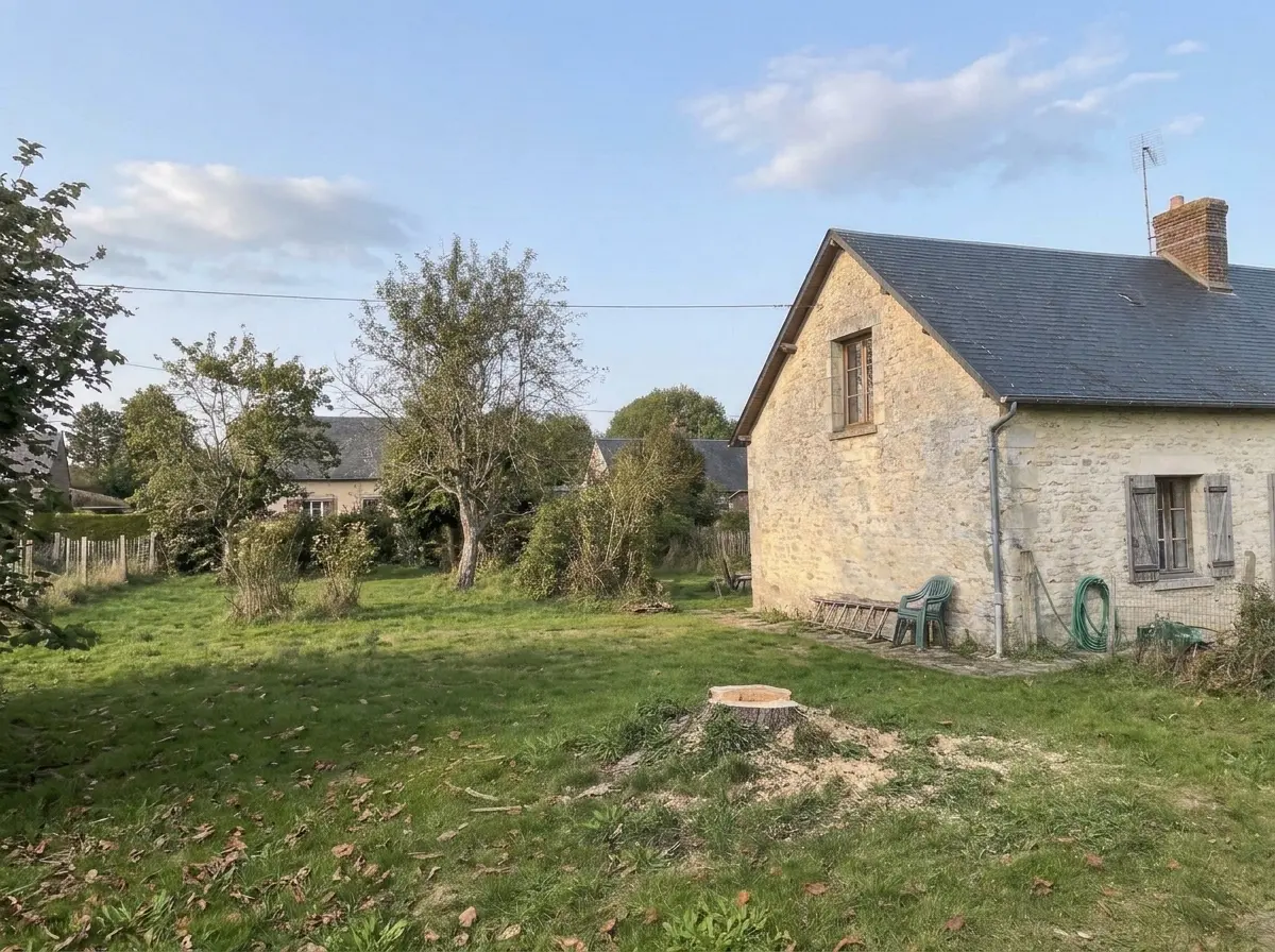 Après : arbre démonté, bois coupé en bûches