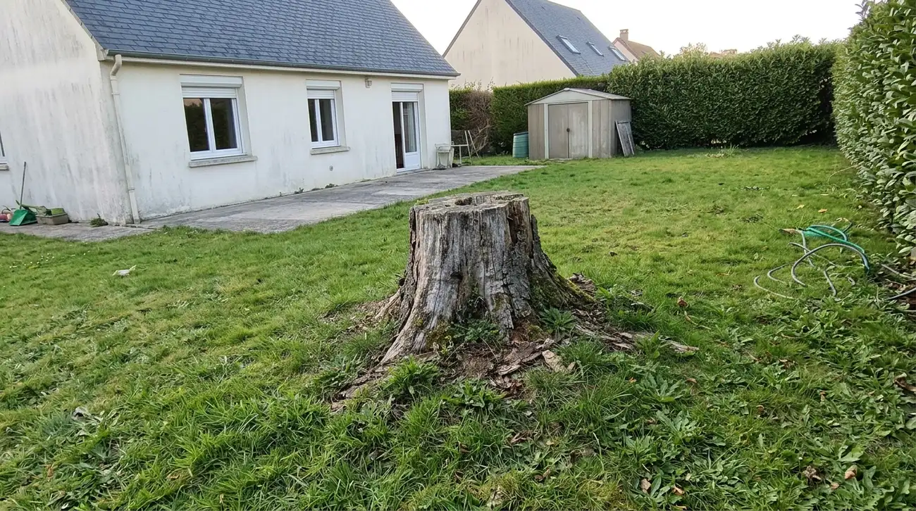 Avant : souche au milieu de la pelouse